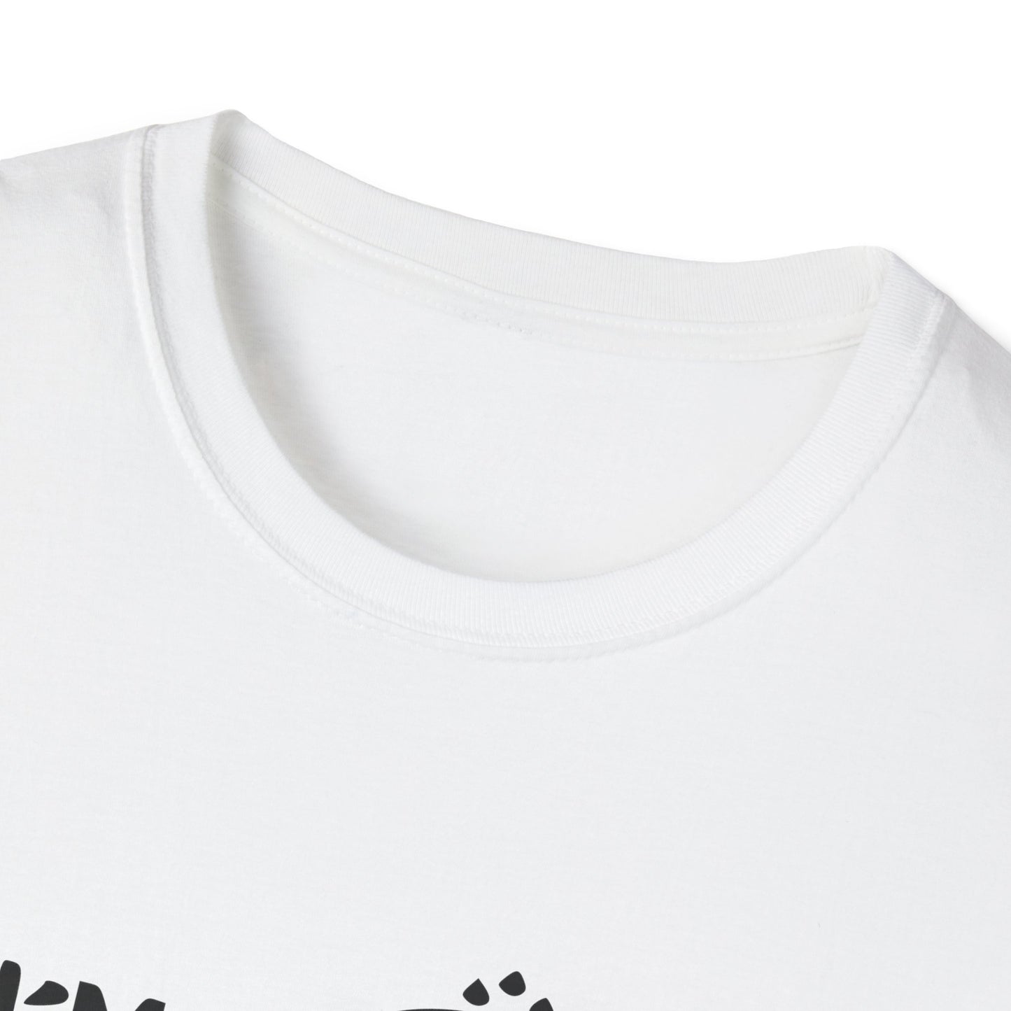 Copy of Twinkle Twinkle Little Snitch Unisex Softstyle T-Shirt