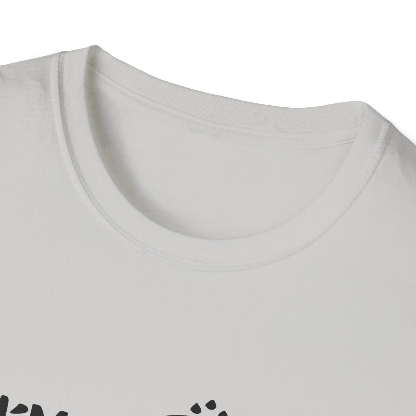 Copy of Twinkle Twinkle Little Snitch Unisex Softstyle T-Shirt