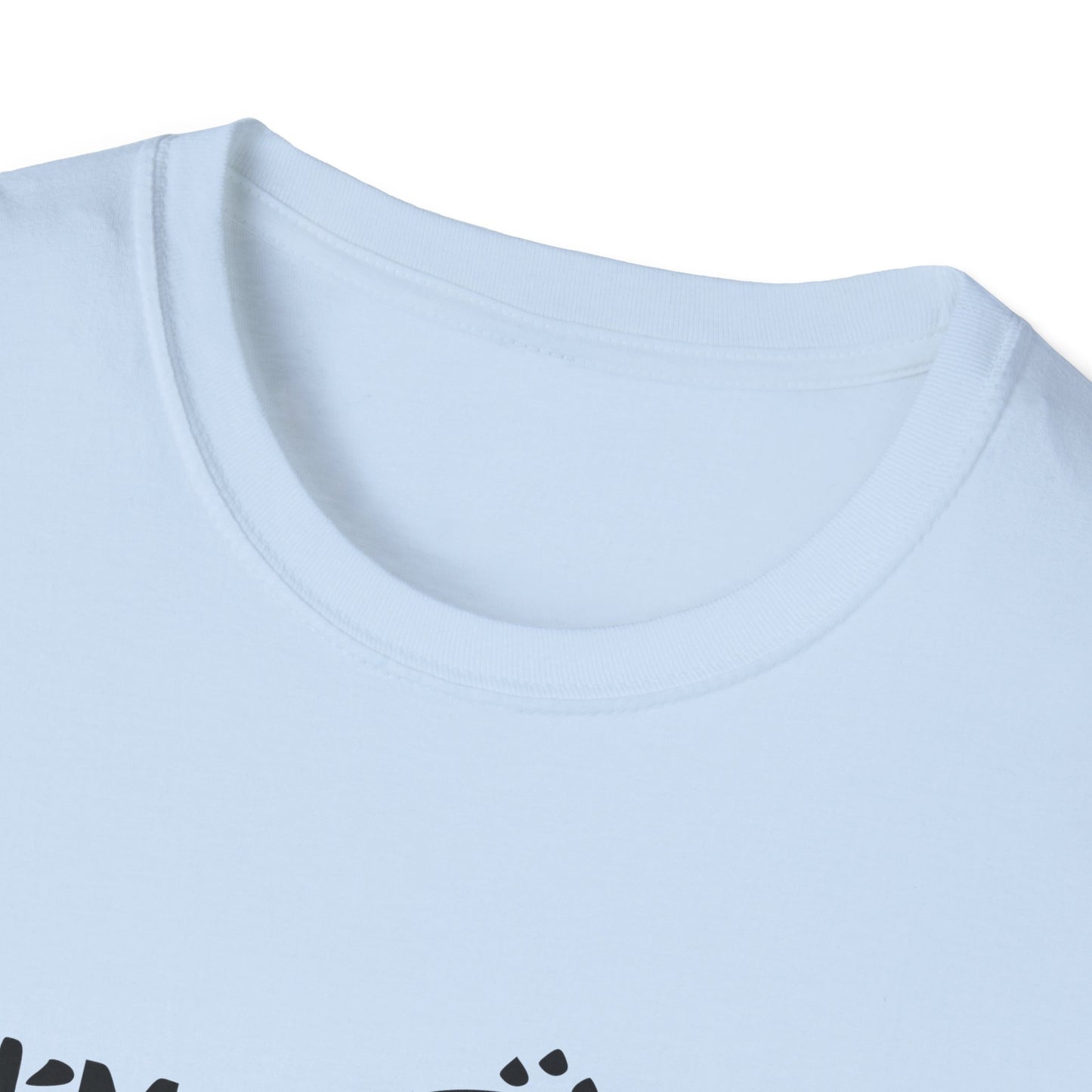 Copy of Twinkle Twinkle Little Snitch Unisex Softstyle T-Shirt