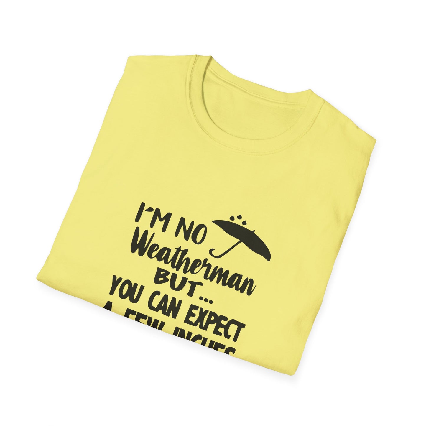 Copy of Twinkle Twinkle Little Snitch Unisex Softstyle T-Shirt