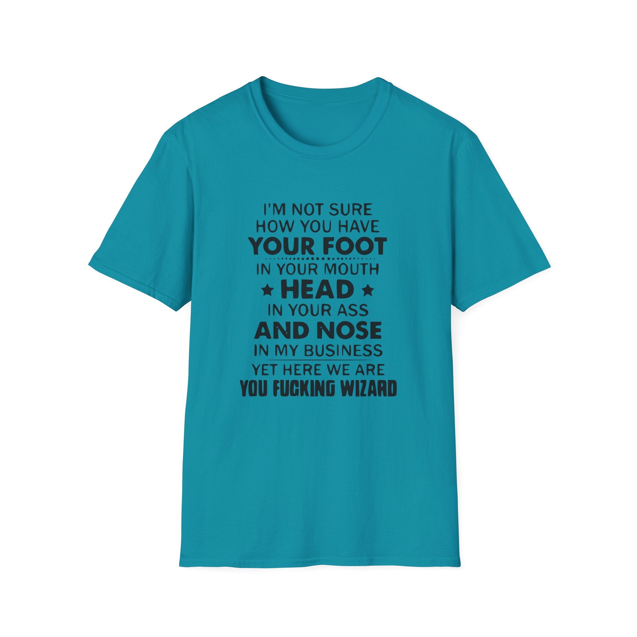 You Fucking Wizard Unisex Softstyle T-Shirt