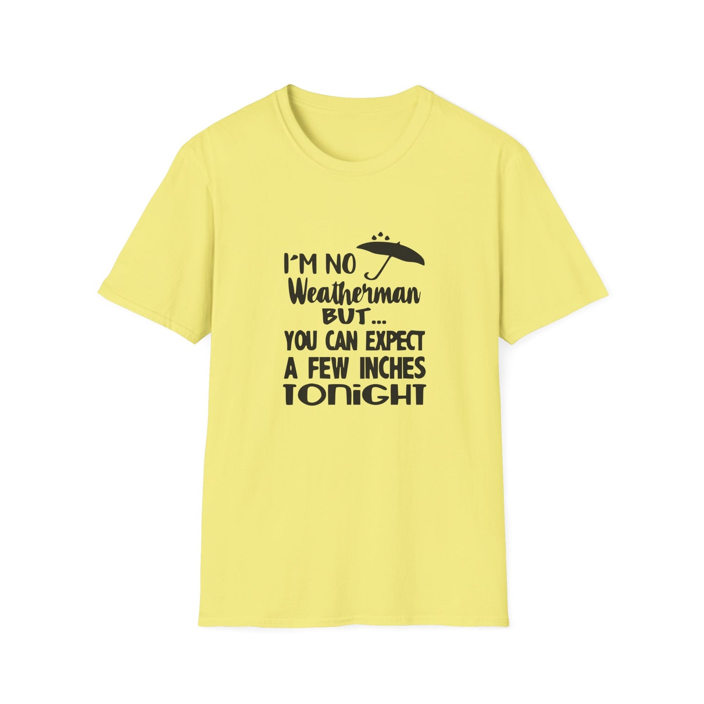 Copy of Twinkle Twinkle Little Snitch Unisex Softstyle T-Shirt