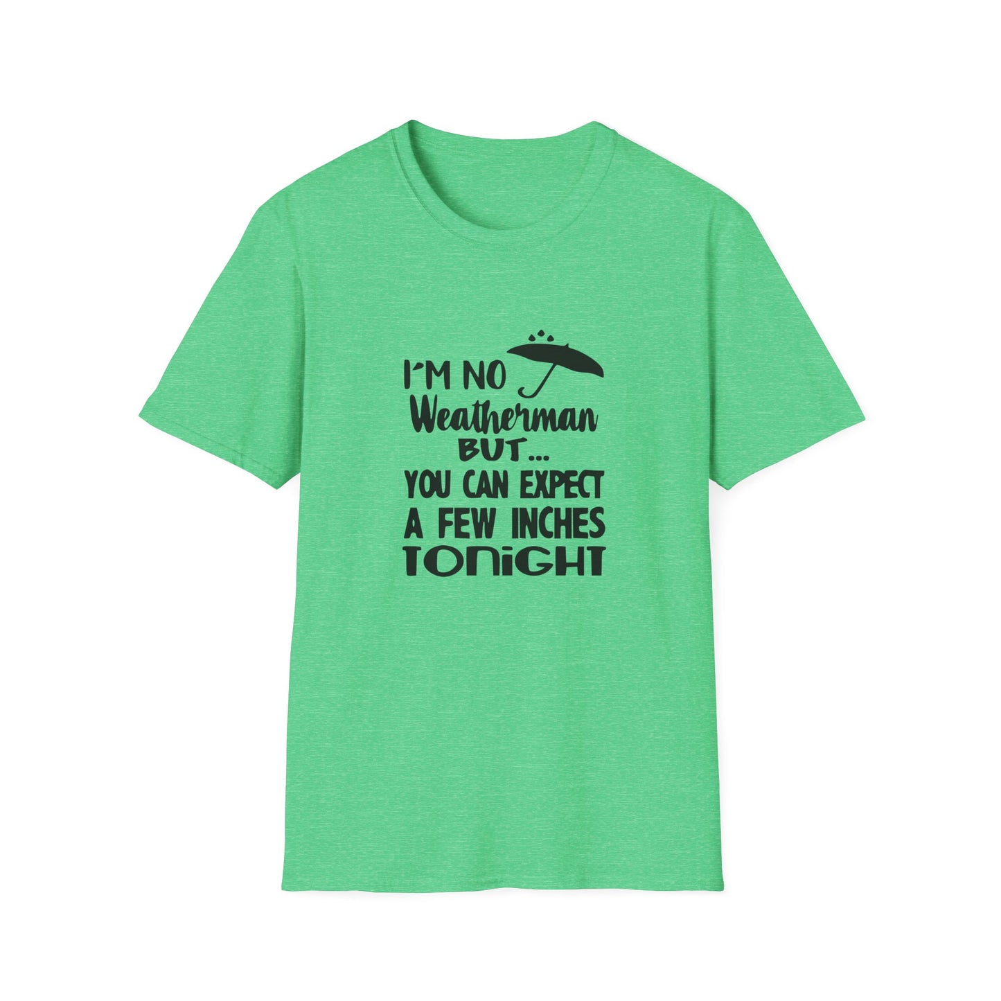 Copy of Twinkle Twinkle Little Snitch Unisex Softstyle T-Shirt