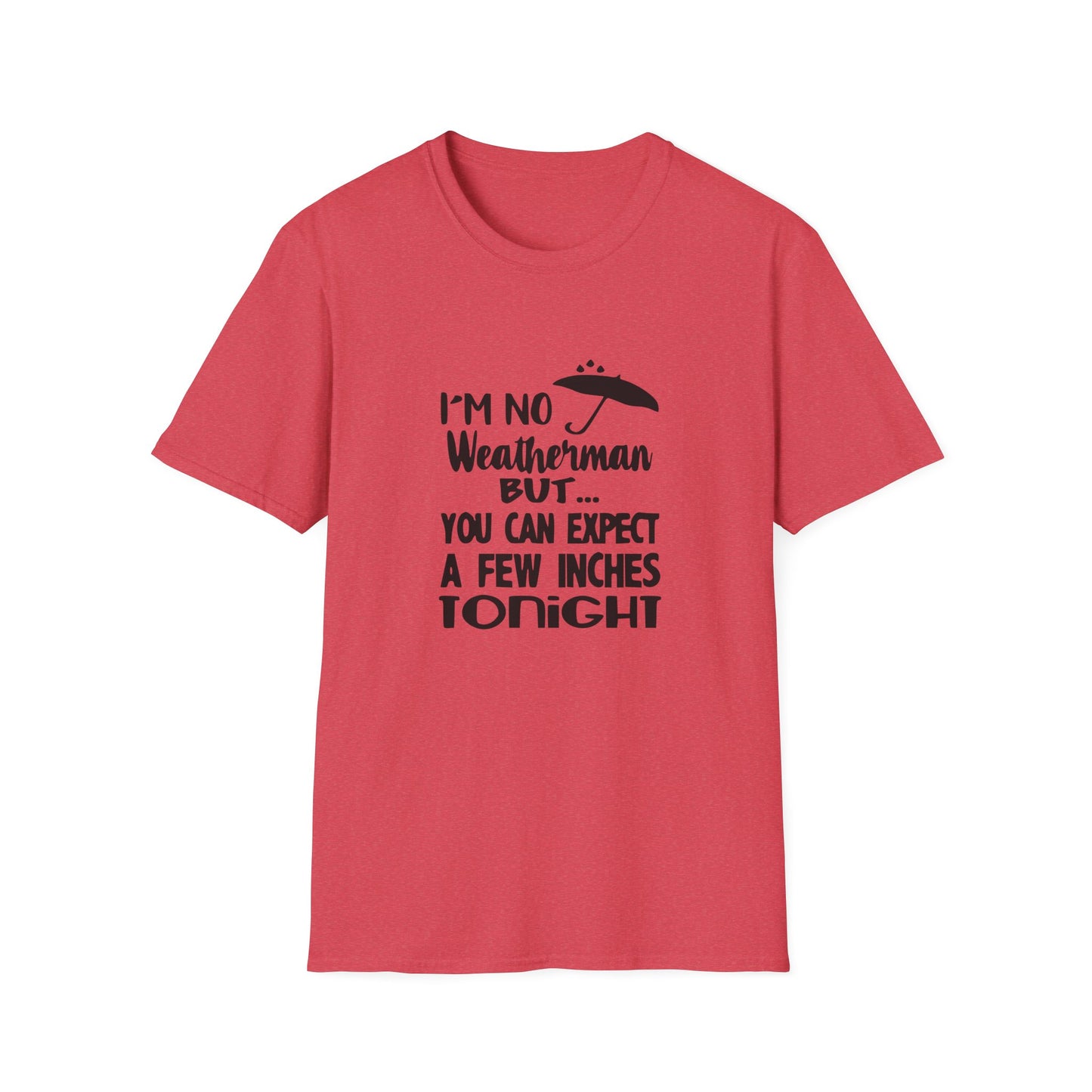 Copy of Twinkle Twinkle Little Snitch Unisex Softstyle T-Shirt
