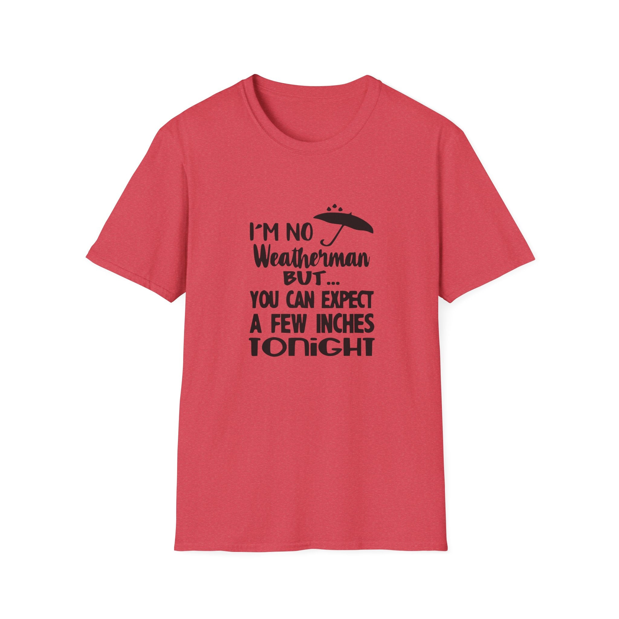 Copy of Twinkle Twinkle Little Snitch Unisex Softstyle T-Shirt