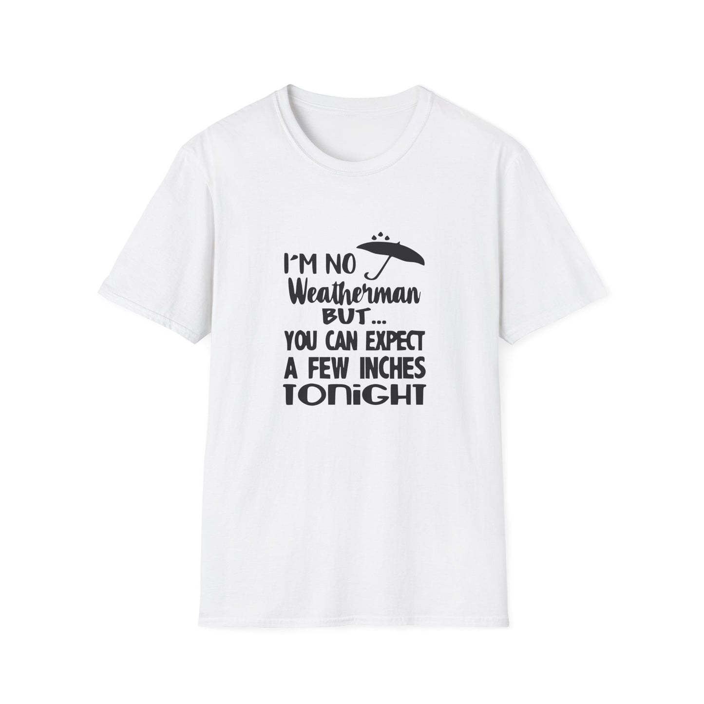 Copy of Twinkle Twinkle Little Snitch Unisex Softstyle T-Shirt
