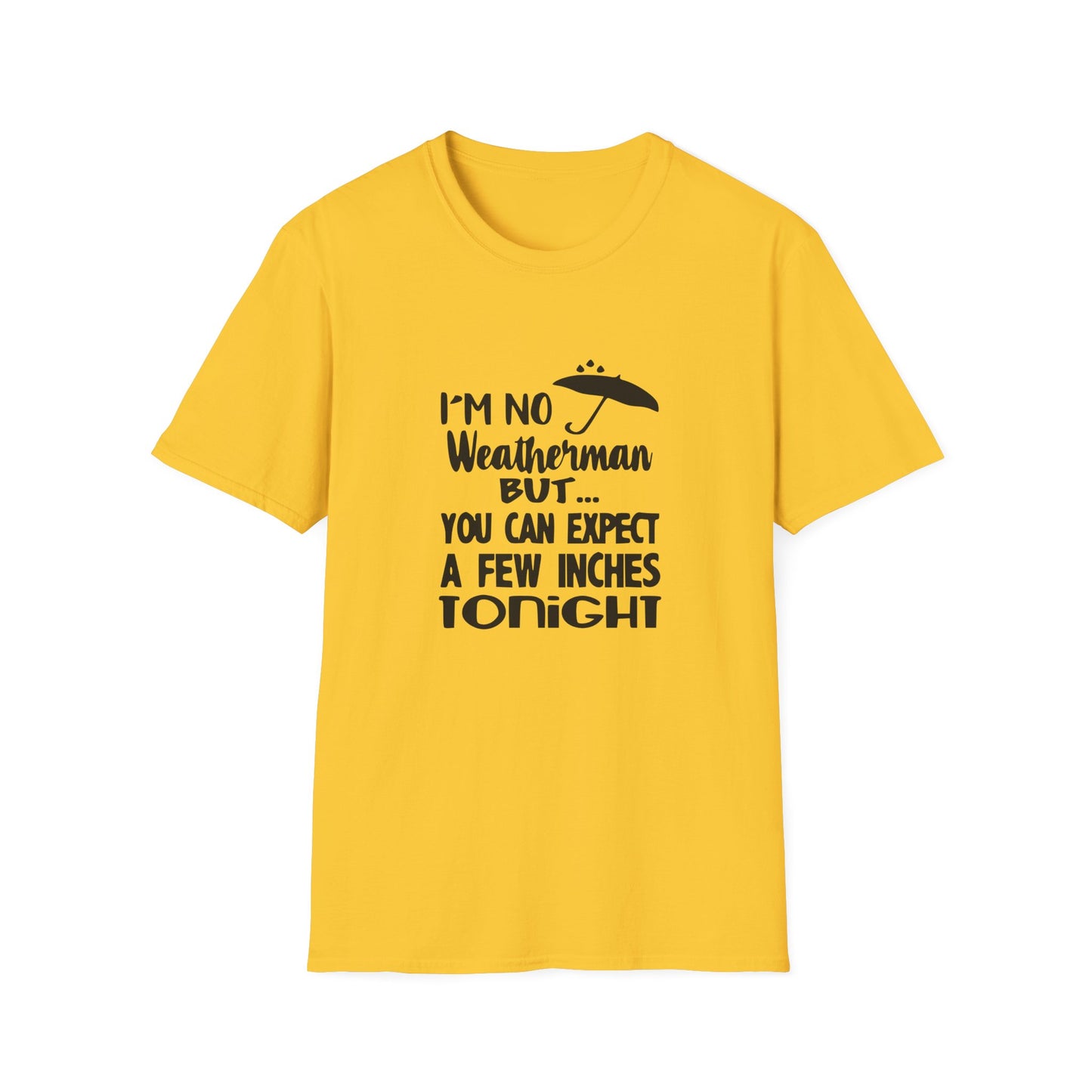 Copy of Twinkle Twinkle Little Snitch Unisex Softstyle T-Shirt