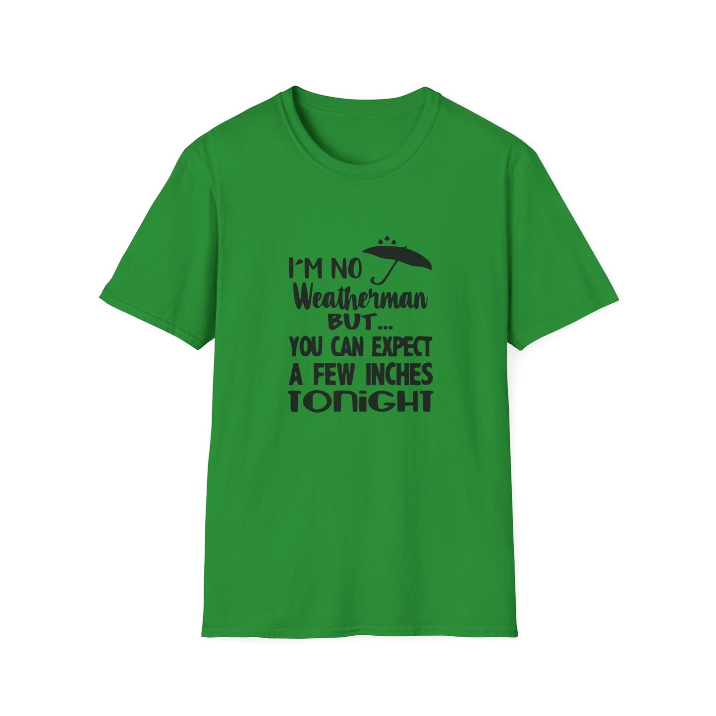 Copy of Twinkle Twinkle Little Snitch Unisex Softstyle T-Shirt