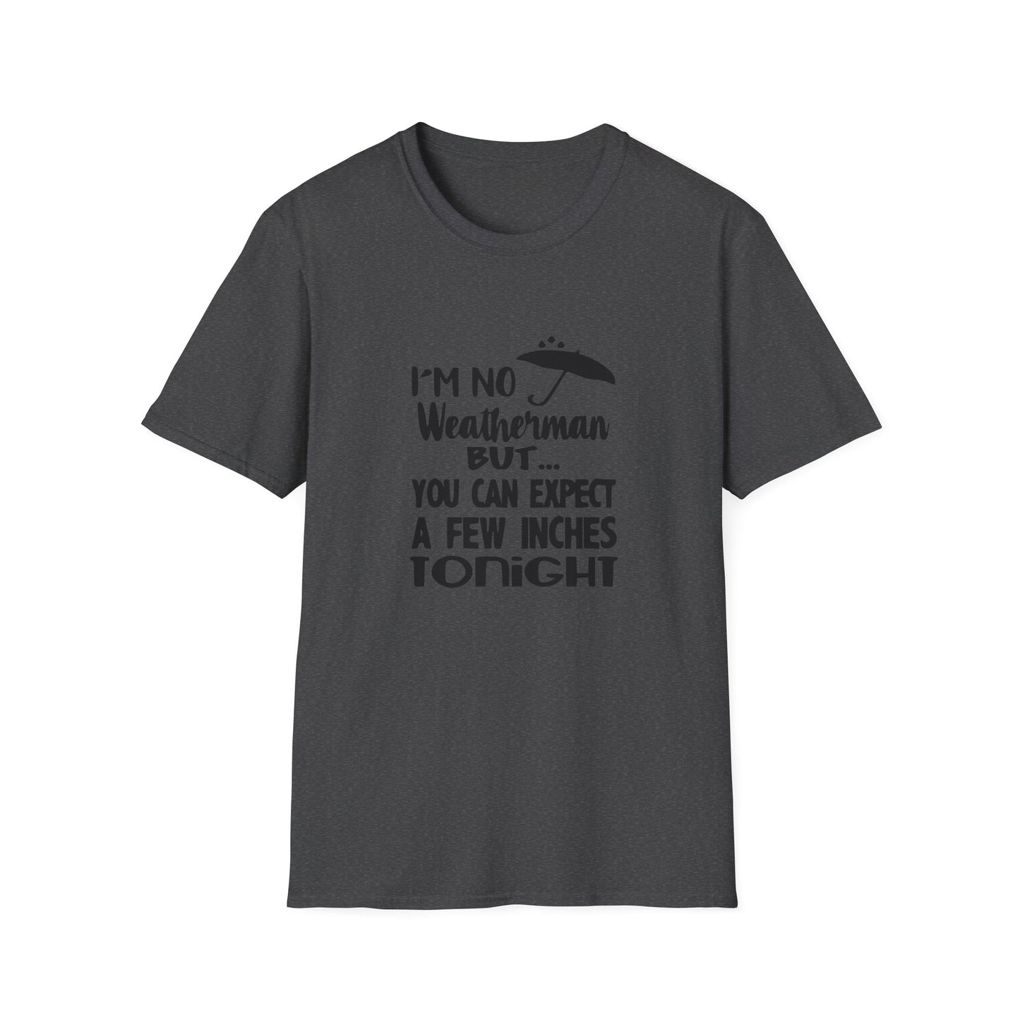 Copy of Twinkle Twinkle Little Snitch Unisex Softstyle T-Shirt
